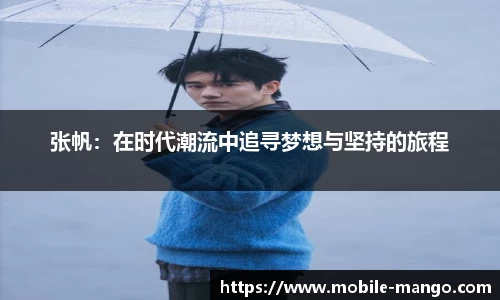 张帆：在时代潮流中追寻梦想与坚持的旅程