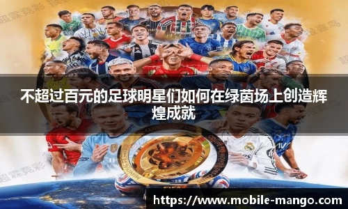 不超过百元的足球明星们如何在绿茵场上创造辉煌成就