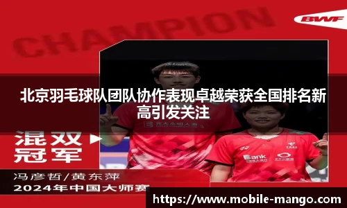 北京羽毛球队团队协作表现卓越荣获全国排名新高引发关注