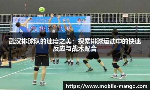 武汉排球队的速度之美：探索排球运动中的快速反应与战术配合