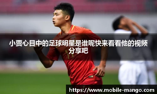 小贾心目中的足球明星是谁呢快来看看他的视频分享吧